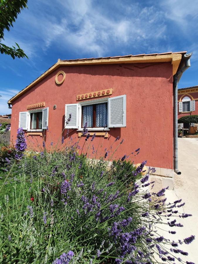 Apartment "House Tigra" Ρόβινι Εξωτερικό φωτογραφία
